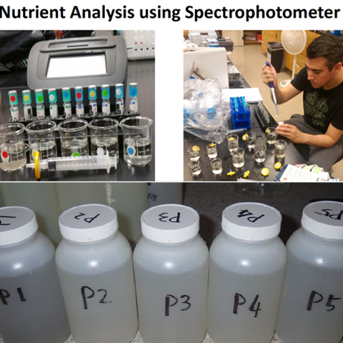 nutrient analysis using spectrophotometer