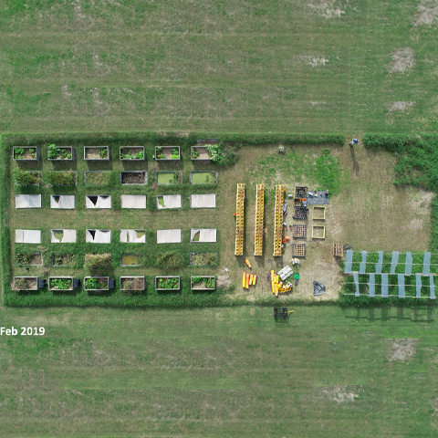 aerial view of the C.R.A.W.F.I.S.H garden on the UTRGV Brownsville Campus behind the Casa Bella student housing.