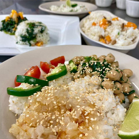 a picture of different rice plates that were made on one of UTRGV's Campus Food Security Initiative's Sustainable Table Event.