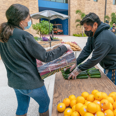 picture of two people setting up a table for a food pickup event that UTRGV hosted