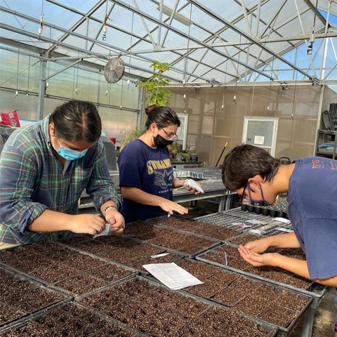 people planting seeds at the hub of prosperity urban farm