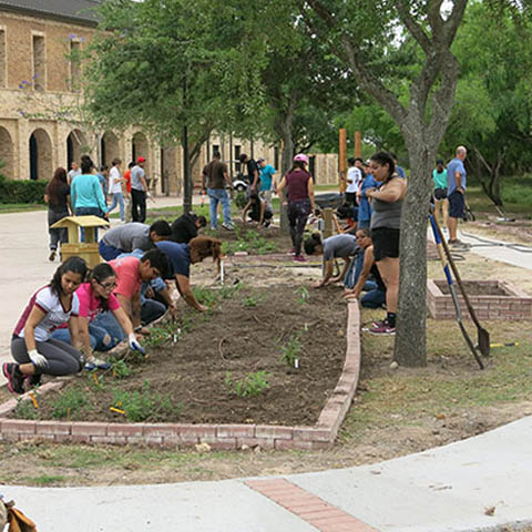 students working on the pollinator cantina