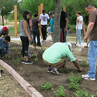 students working on the pollinator cantina