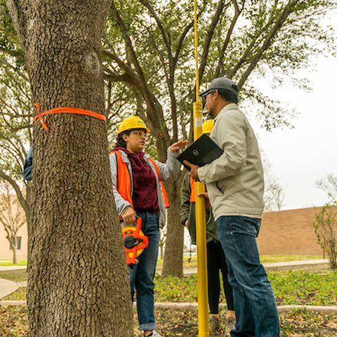 students discussing near a tree for the urban forestry course at UTRGV