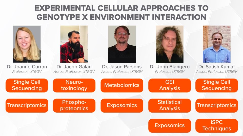 According to Dr. Curran, this grant is an excellent example of team science, where diverse scientists with different expertise come together to develop a novel project. This figure showcases the team management plan in the grant and highlights the team's experience. (Courtesy Photo)