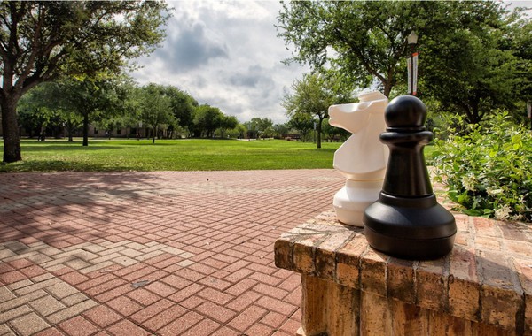 Black pawn and white knight on Brownsville Campus (UTRGV Photo by David Pike)
