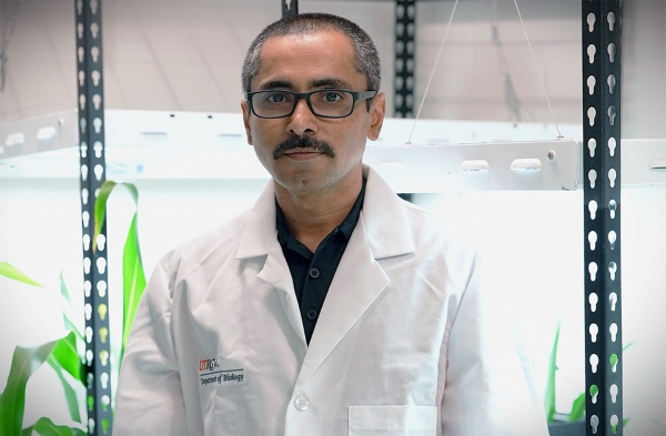Dr. Manohar Chakrabarti, assistant professor of Plant Functional Genomics at UTRGV, will lead a research project focused on enhancing cereal crop resilience to abiotic stresses. (UTRGV Photos by Jesús Alférez)