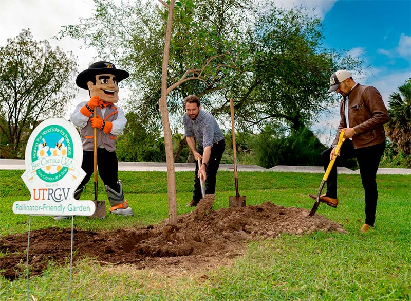 Office for Sustainability Planting a Tree with Vaquero 