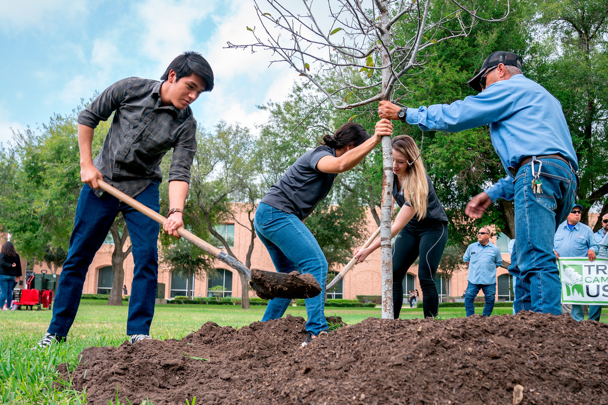 Students Planting a Tree