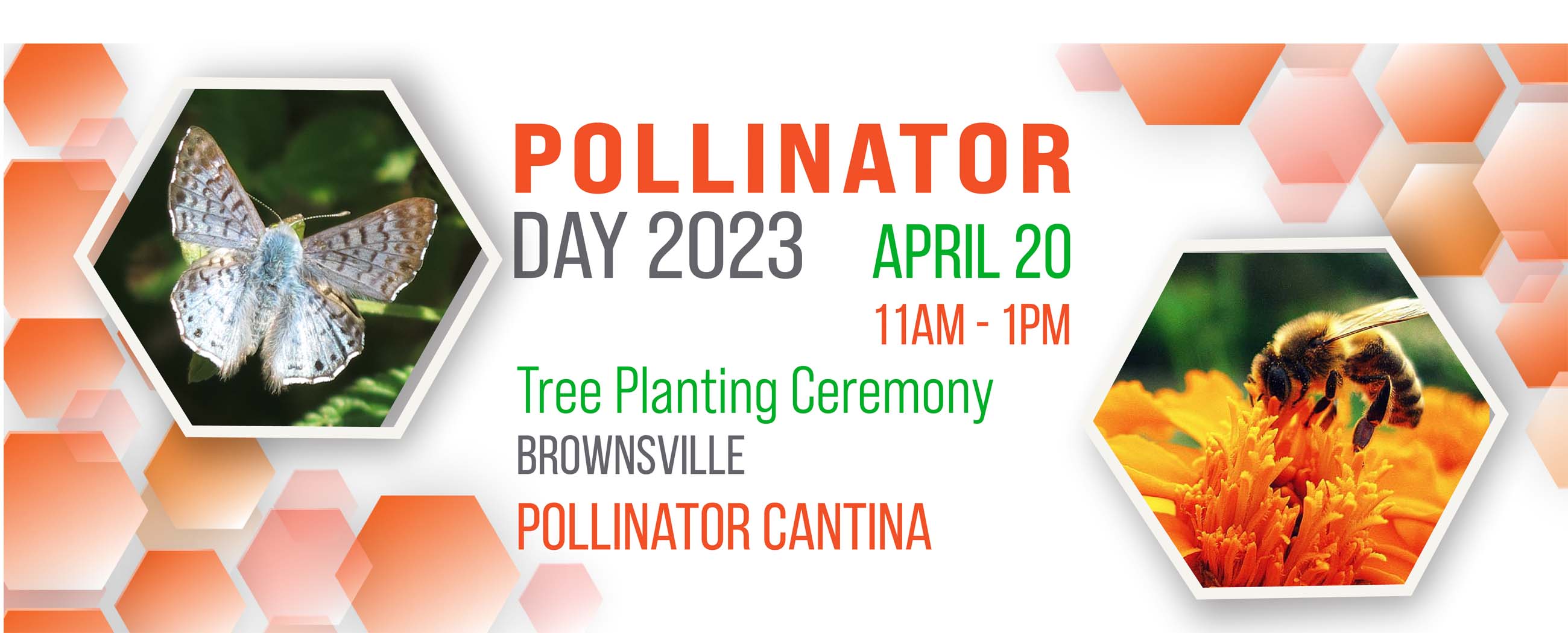 Pollinator Day 2023. April 20 from 11AM - 1PM. Tree Planting Ceremony at Brownsville at Pollinator Cantina. Page Banner 