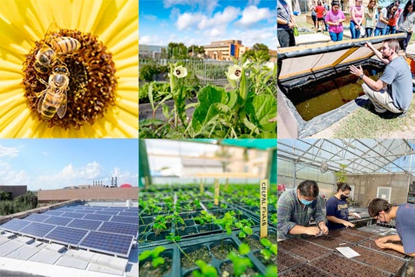 Sustainability Gardening Collage