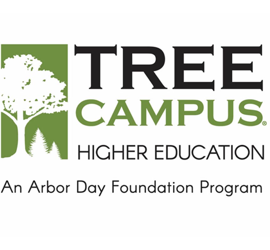Tree Campus Higher Education An Arbor Day Foundation Program