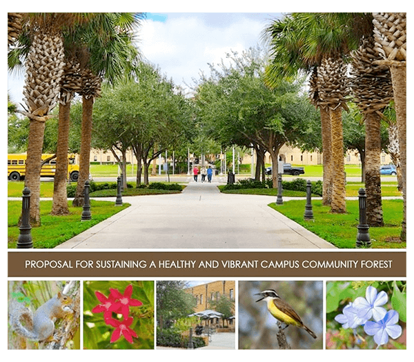 2022 tree campus poster