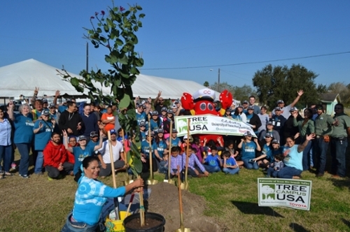 many UTRGV students, faculty, and staff infront of a big tree with people in the middle holding a tree campus usa designation banner