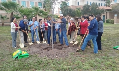 10 people with shovels by a tree planting it