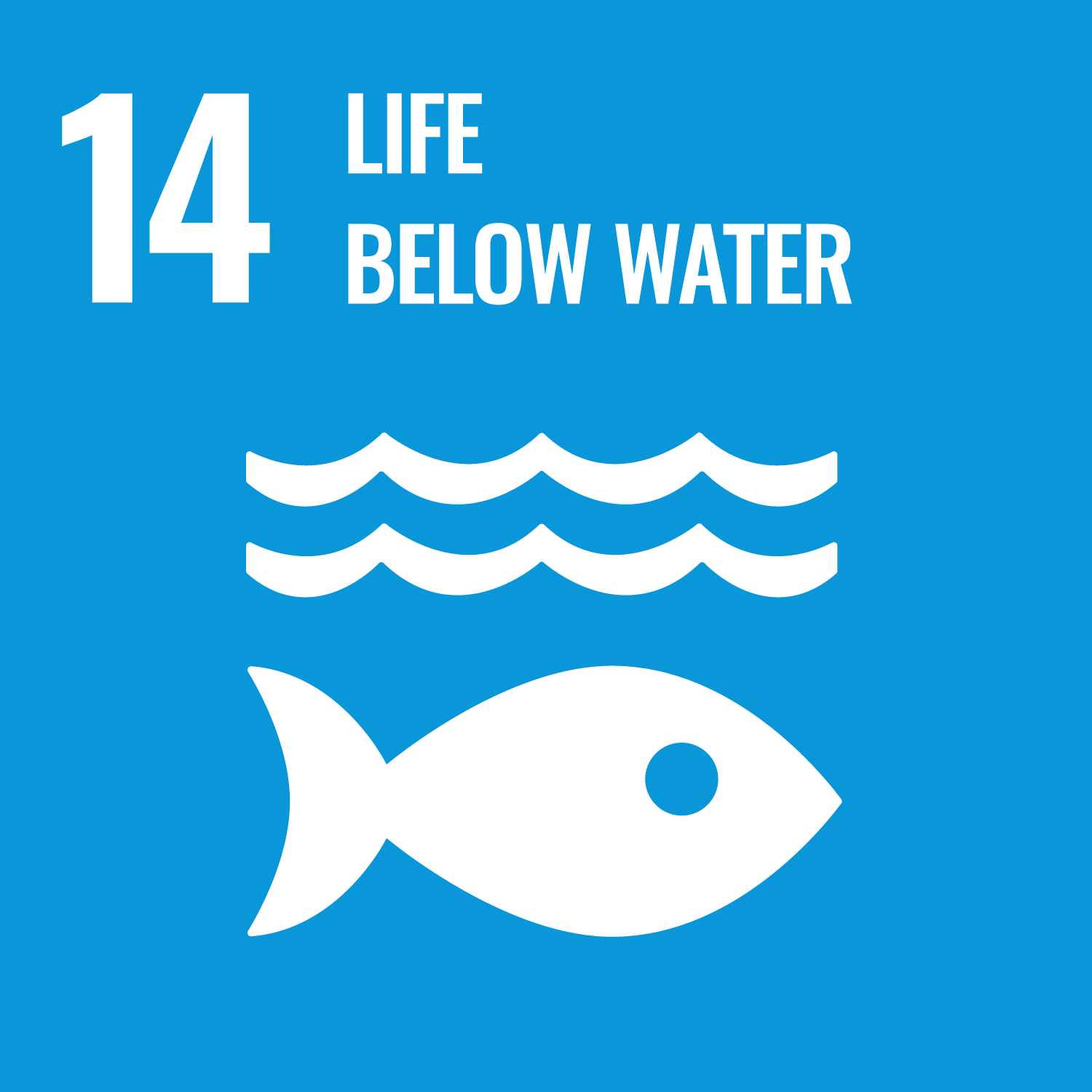 United Nation's 17 Sustainable Development Goals: Goal Number 14: Life Below Water