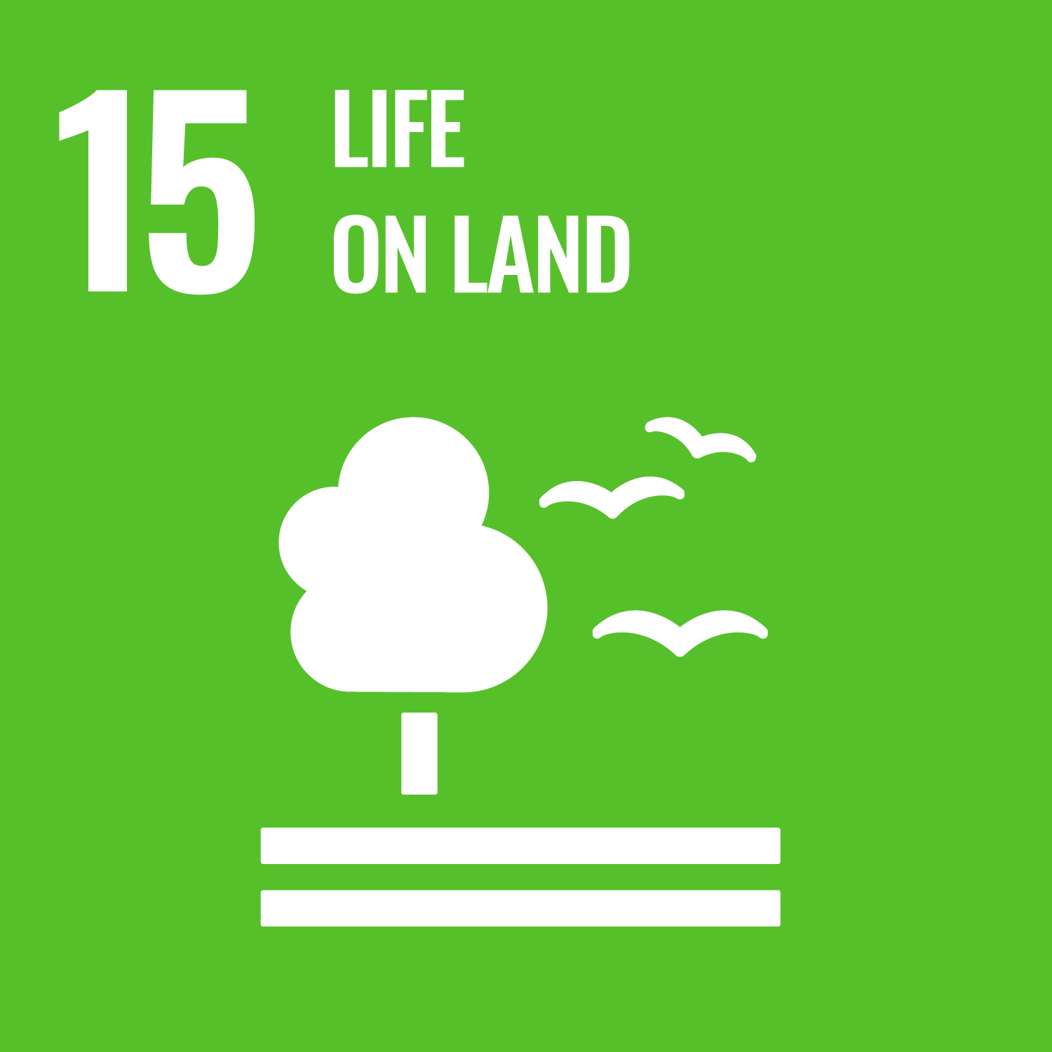 United Nation's 17 Sustainable Development Goals: Goal Number 15: Life on Land