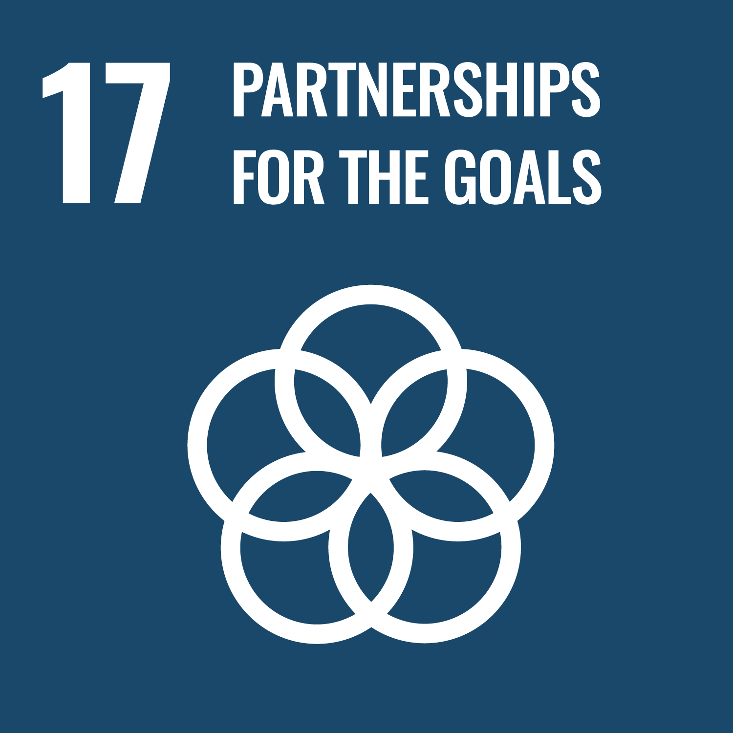 United Nations Sustainable Development Goal Number 17 Partnerships for the goals