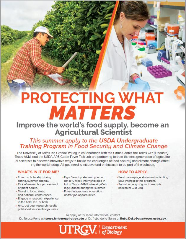 Download TACFSA Protecting What Matters Flyer PDF