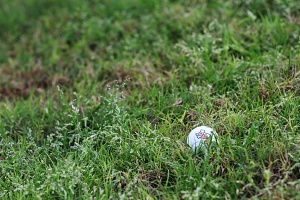 golf ball on the grass