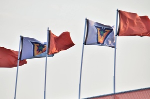UTRGV Athletics flags