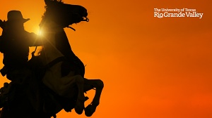 Zoom background vaquero on a horse