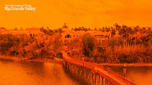 Zoom background bridge Browwnsville orange