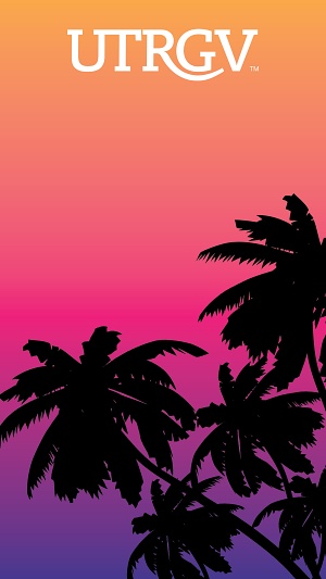 Wallpaper palm trees