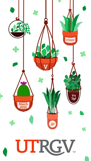 Wallpaper hanging pots