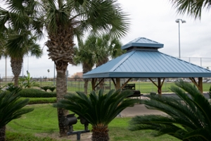 palapa