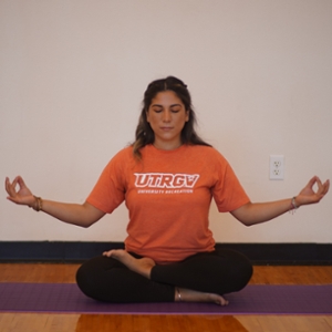 In this class, basic foundational yoga postures are practiced to align, strengthen, and promote flexibility in the body. Breathing techniques and meditation are also integrated. You can expect an emphasis on simplicity, repetition, and ease of movement.