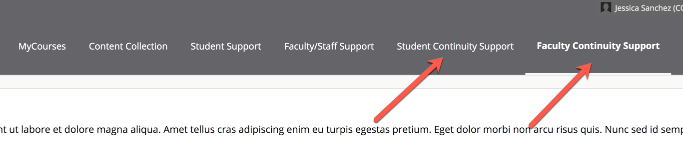 colttcontinuintysupport.png